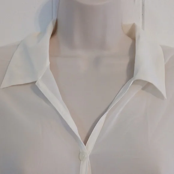 Super sheer buttoned-down blouse Size large. - Picture 2 of 8